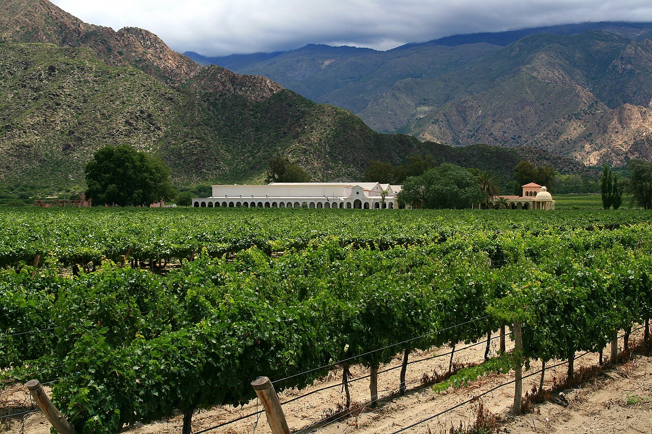 	Salta 	